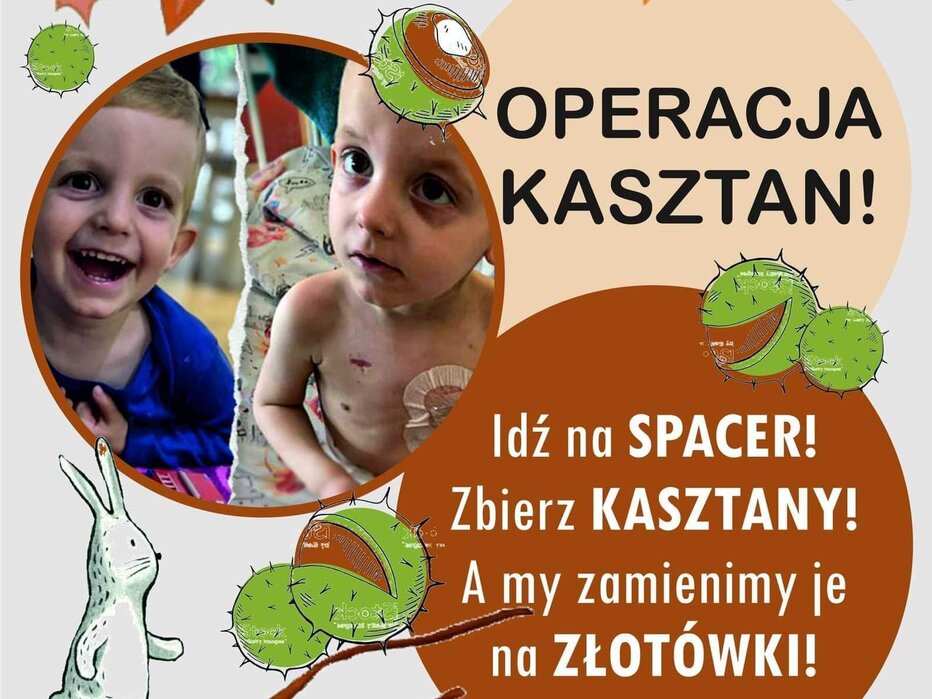 Operacja Kasztan Przedszkole Nr Plastusiowo